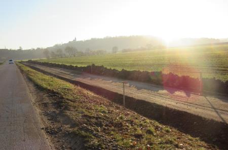 Kolesarska cesta Trnovska vas - Vitomarci